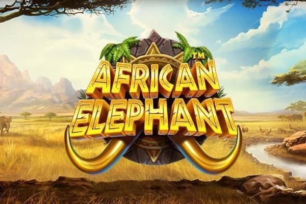 African Elephant